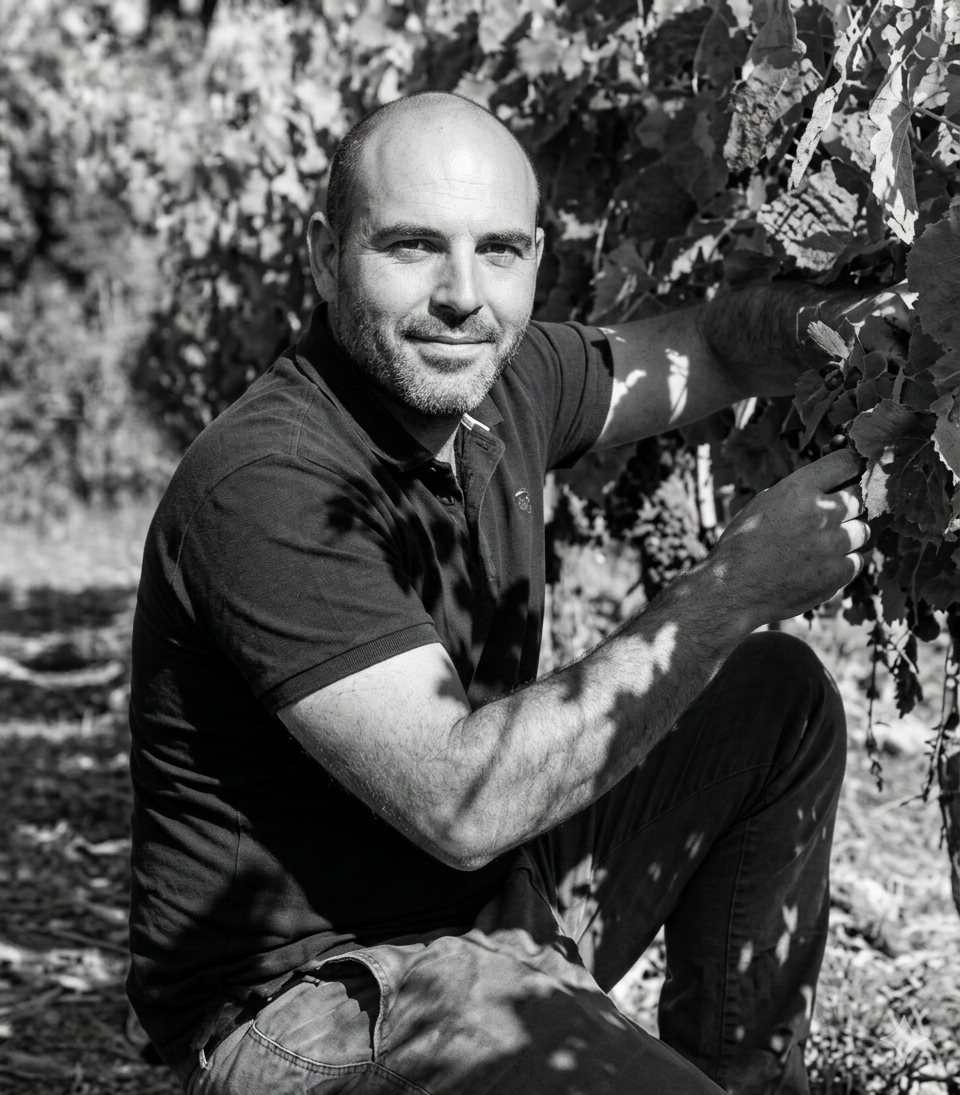 Loïc Galy - fondateur associé, expert en conduite du vignoble